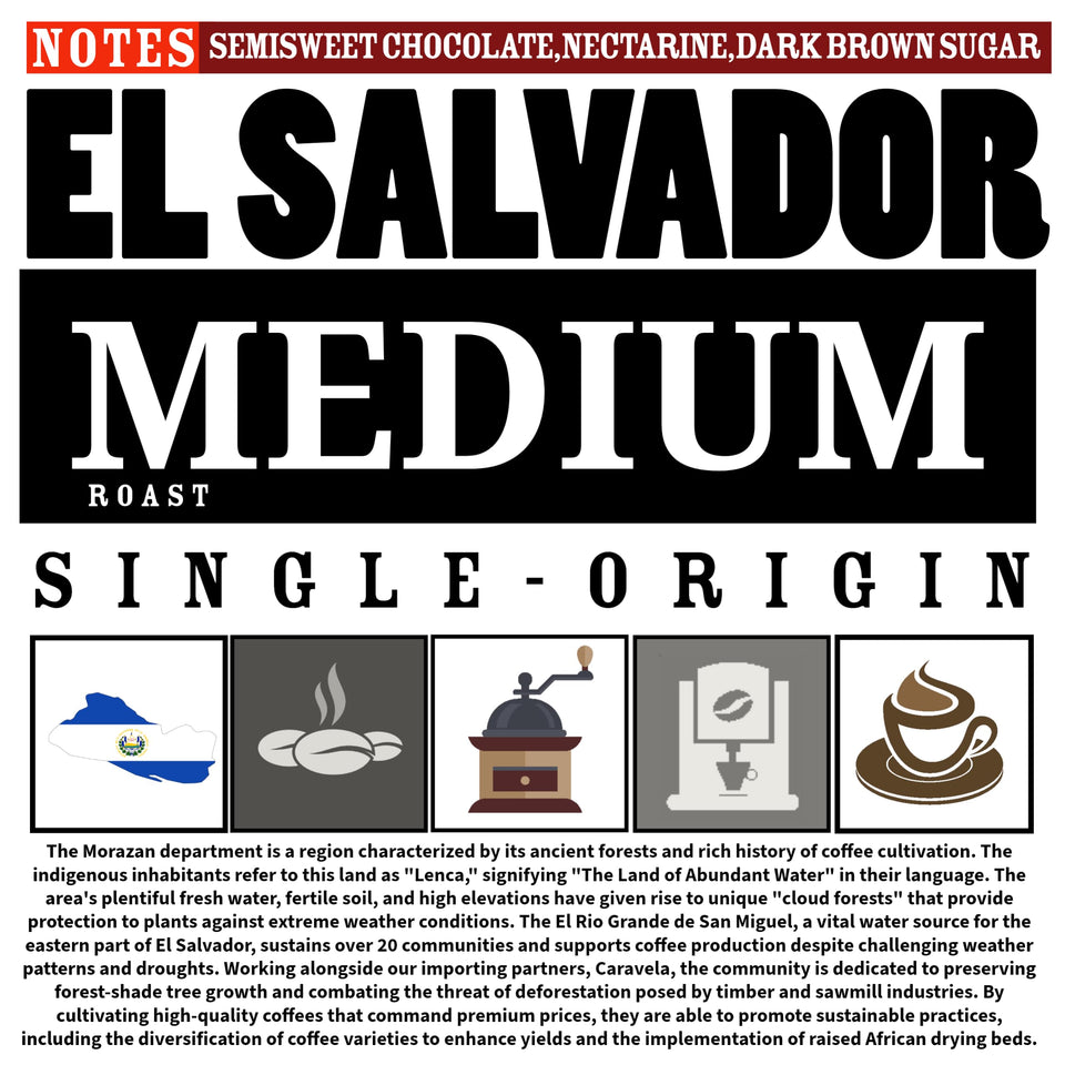 MEDIUM ROAST, Whole Bean Coffee, Organic Fresh Artisan Premium Beans (1 Pound, 16OZ, EL SALVADOR)