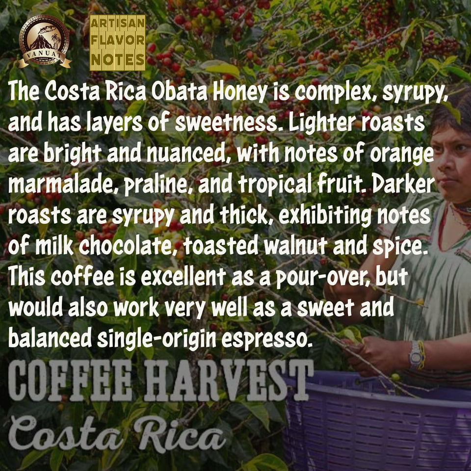 LIGHT ROAST WHOLE BEAN COFFEE SPECIALTY Dailiesdeals Vanuat Organic Supreme Finest Artisan beans. Sourcing premium artisan green specialty beans (Brazil, 16oz | LightROAST)
