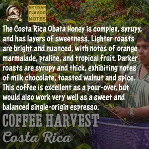 DARK ROAST VANUAT Dailiesdeals Organic Supreme Finest Artisan COFFEE Whole Bean Beans for Drip Coffee Cold Brew Espresso French Press Turkish Brew etc (Brazil, 16oz | Dark Roast)