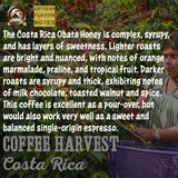 DARK ROAST VANUAT Dailiesdeals Organic Supreme Finest Artisan COFFEE Whole Bean Beans for Drip Coffee Cold Brew Espresso French Press Turkish Brew etc (Brazil, 16oz | Dark Roast)