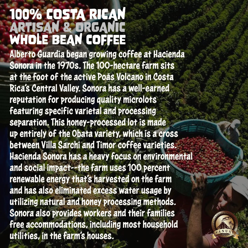 DARK ROAST VANUAT Dailiesdeals Organic Supreme Finest Artisan COFFEE Whole Bean Beans for Drip Coffee Cold Brew Espresso French Press Turkish Brew etc (Brazil, 16oz | Dark Roast)