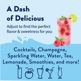Jordan'S Skinny Mixes Sugar Free Syrup, Raspberry Flavor, Fruit Flavor